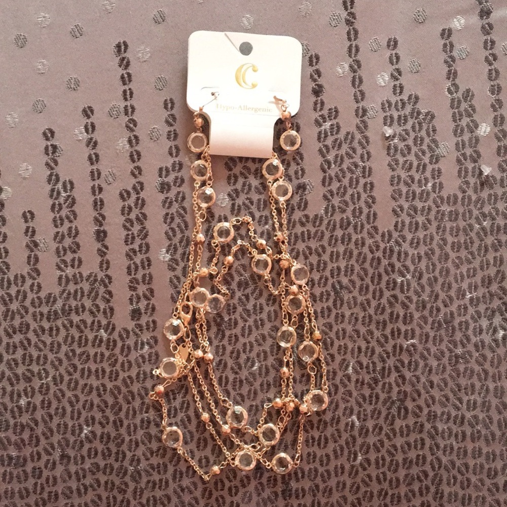 Necklace and Earrings set brand new never used!